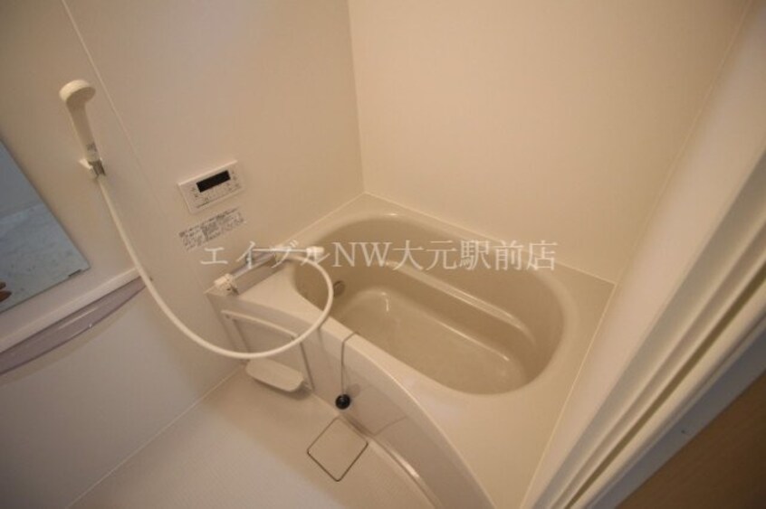  プティシュシュ福富