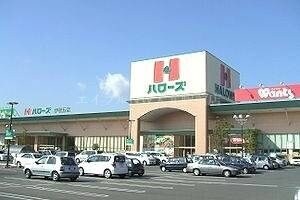 ハローズ当新田店(スーパー)まで597m アルファ・リノ
