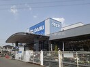 ダイキ　豊浜店(電気量販店/ホームセンター)まで850m フォレストグランドＢ棟