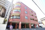 メゾンエース