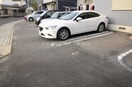  ルピナス