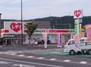 くすりのレデイ西崎店(ドラッグストア)まで507m ルピナス
