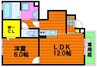 エルヴィリア野田 1LDKの間取り