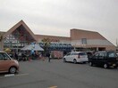 山陽マルナカ庭瀬店(スーパー)まで1216m RKパレス岡崎