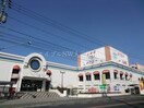 わたなべ生鮮館庭瀬店(スーパー)まで1388m RKパレス岡崎