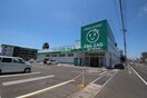 ザグザグ今店(ドラッグストア)まで673m レジデンス今