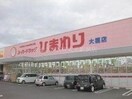 スーパードラッグひまわり大福店(ドラッグストア)まで688m オレンジマンション