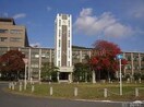 国立岡山大学(大学/短大/専門学校)まで968m セントリッツ