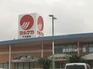 山陽マルナカ大元店(スーパー)まで616m カーサU