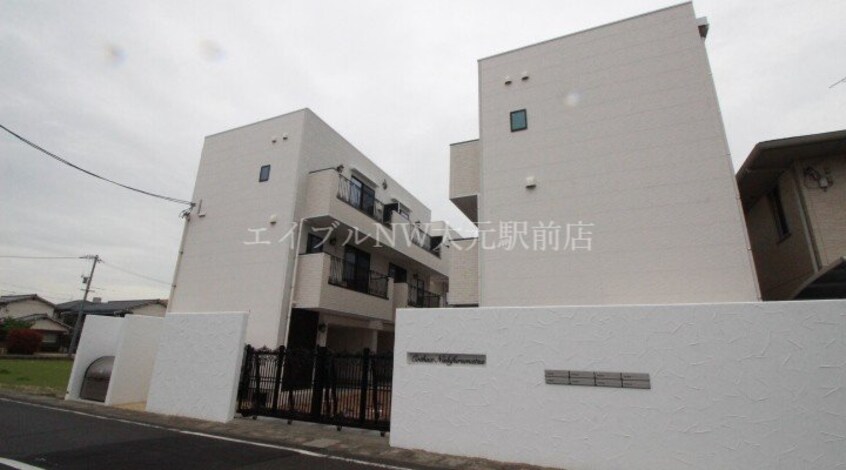  COTHAX西古松