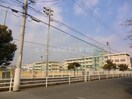岡山市立大野小学校(小学校)まで417m マウントピュアＡ