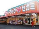 セガミ岡大病院前店(ドラッグストア)まで418m プランドール大供
