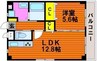 アルファガーデン大元 1LDKの間取り