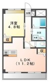アルヴィータ 1LDKの間取り