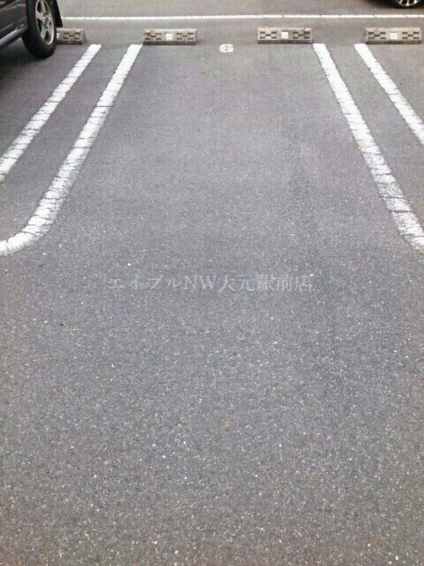  トゥルーランド錦　Ｄ