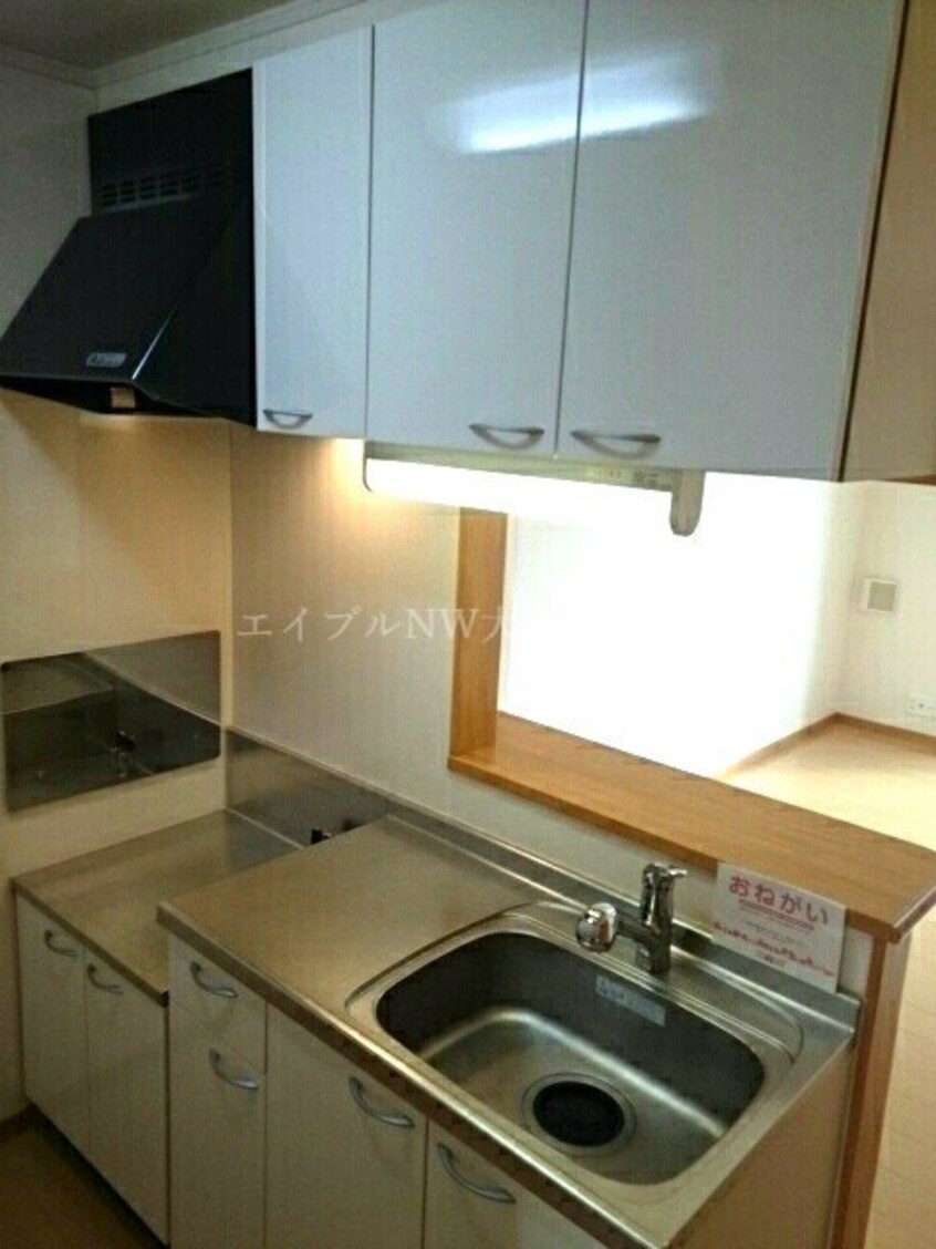  トゥルーランド錦　Ｄ