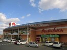 山陽マルナカ下中野店(スーパー)まで586m ピュアガーデン新保