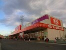 ザ・ビッグ奥田南店(スーパー)まで533m Alterna