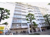 アルファ枝川