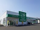 ザグザグ豊成店(ドラッグストア)まで850m プラチナ　ブルー