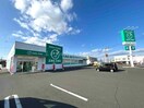 ザグザグ豊成店(ドラッグストア)まで835m ルネッサンスガーデン