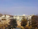 岡山市立岡山中央小学校(小学校)まで1132m ハアラン国体町