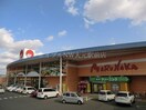 山陽マルナカ下中野店(スーパー)まで373m グランドゥールクロズミＣ