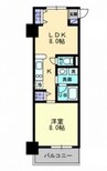 アルファレガロ西古松 1LDKの間取り