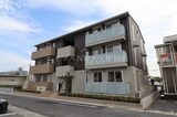 コスモソラーレ