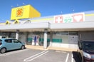 くすりのラブ福田店(ドラッグストア)まで588m REGALE　SHINE  福富西
