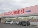 スーパードラッグひまわり大福店(ドラッグストア)まで65m サウスウインドⅢ号館