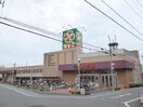 ライフ葛飾白鳥店(スーパー)まで186m スワンスイート