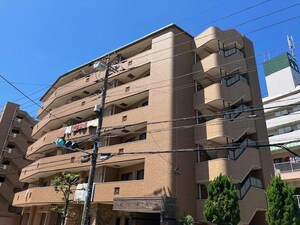 ロータスガーデン