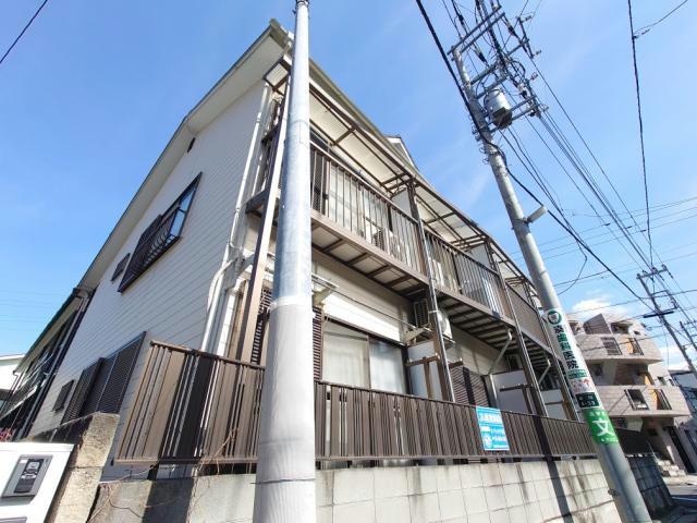  サンコスモス