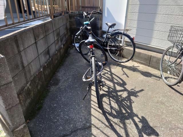  サンコスモス