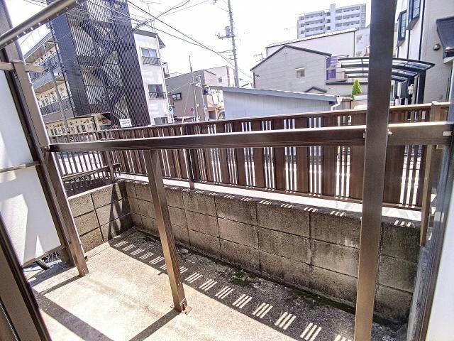  サンコスモス