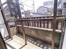  サンコスモス