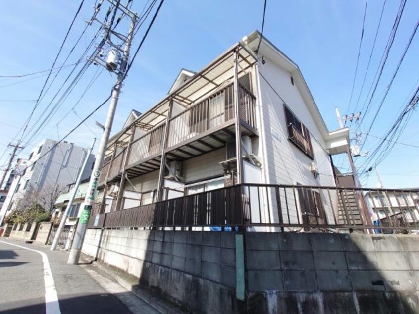  サンコスモス