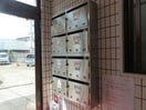  アピア