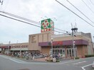 ライフ葛飾白鳥店(スーパー)まで264m アビタシオン白鳥