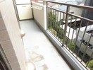  スタークレスト