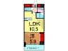 ソルパシオ亀有 1LDKの間取り