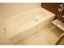  シトロンフレアⅢ