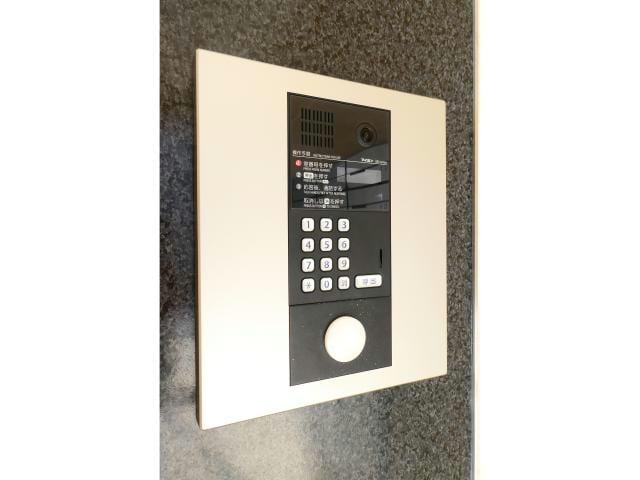  プラシード