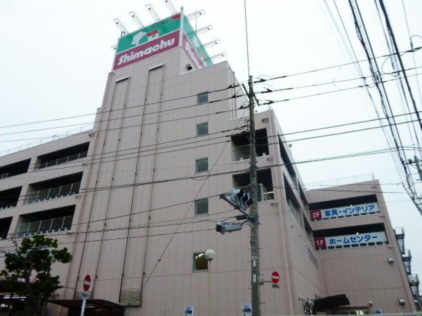 島忠大谷田店(電気量販店/ホームセンター)まで1995m プラシード