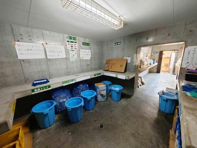  サンセリテ鞠子