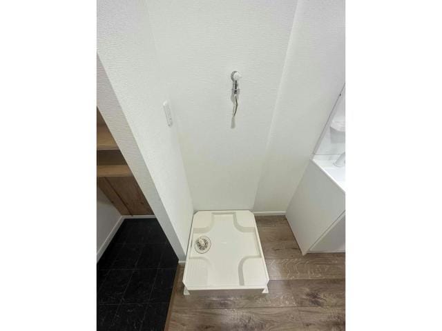  ラッシュグラス