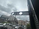  ラッシュグラス