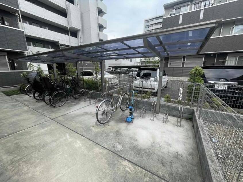  パレドールモア