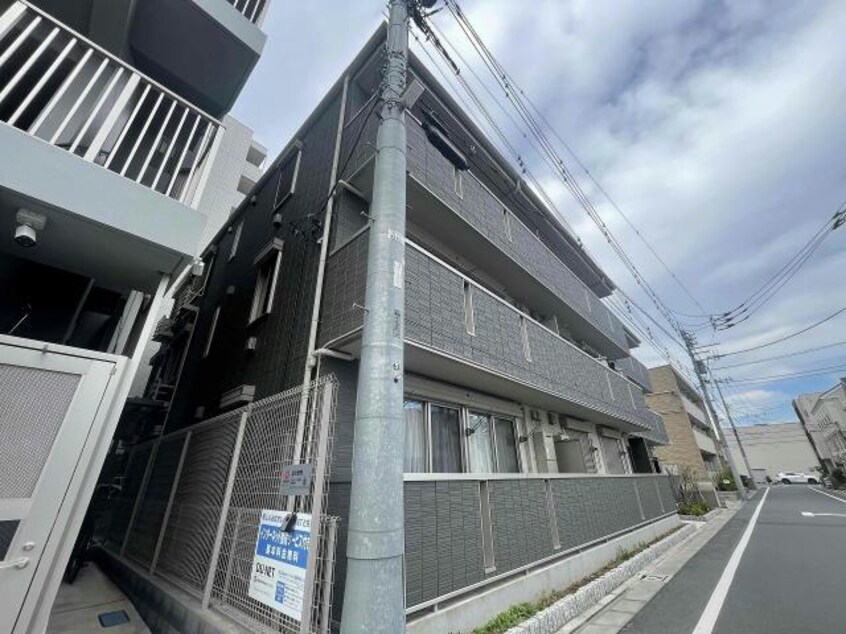  パレドールモア